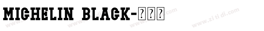Michelin Black字体转换